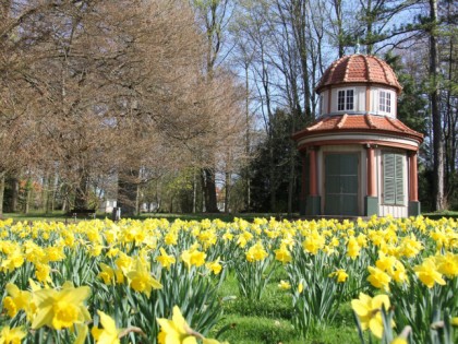 Фото: Город Геттинген, Нижняя Саксония