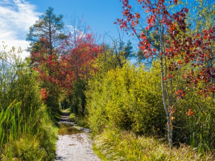 Фото: Город Филлинген-Швеннинген, Баден-Вюртемберг