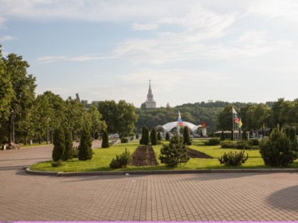 Фото: парки и развлечения, другие места, Воробьёвы горы, Москва