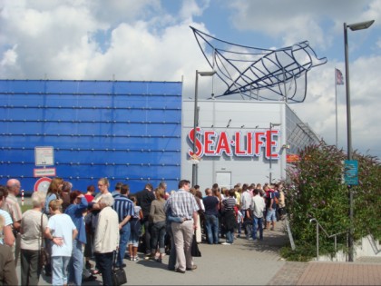 Фото: другие места, Аквариум Sea Life , Северный Рейн-Вестфалия